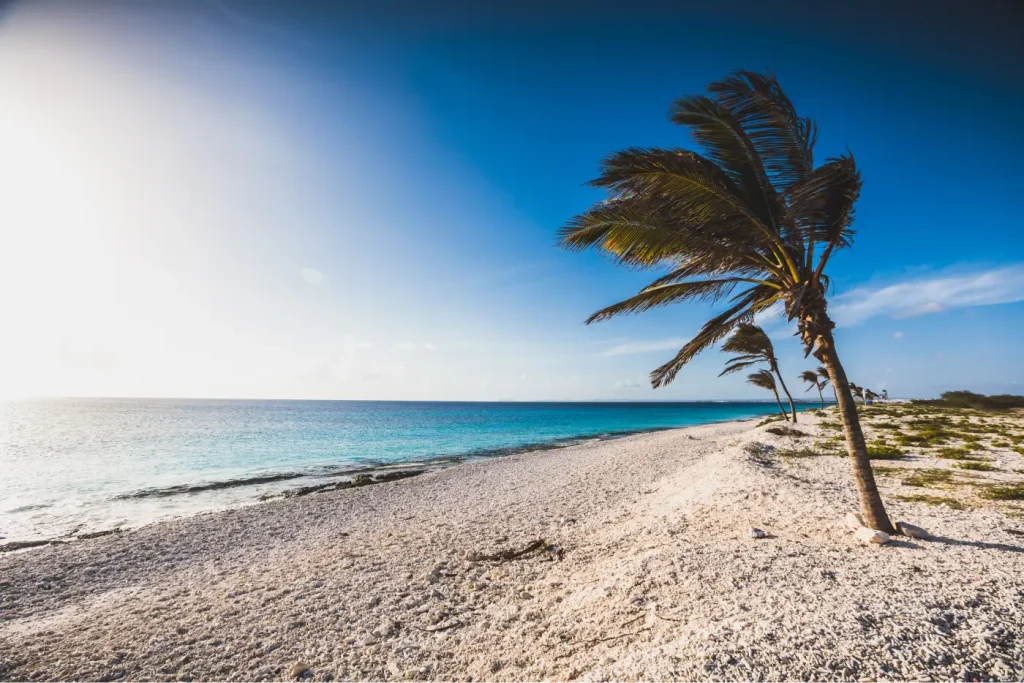 Pink Beach Bonaire