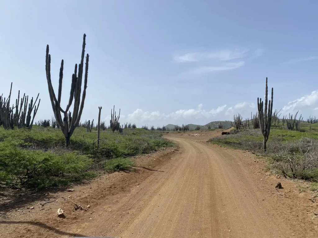 Weg Washington Slagbaai Park Bonaire